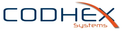 consulenza IT codhex systems