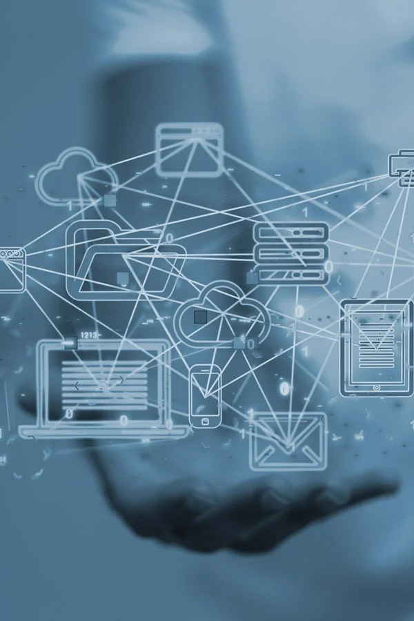 consulenza IT Codhex